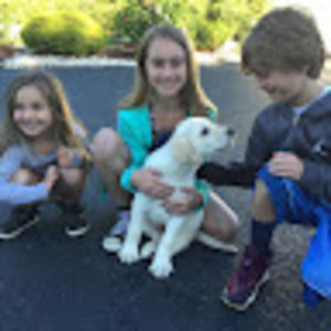 Meet your Posher, Dave